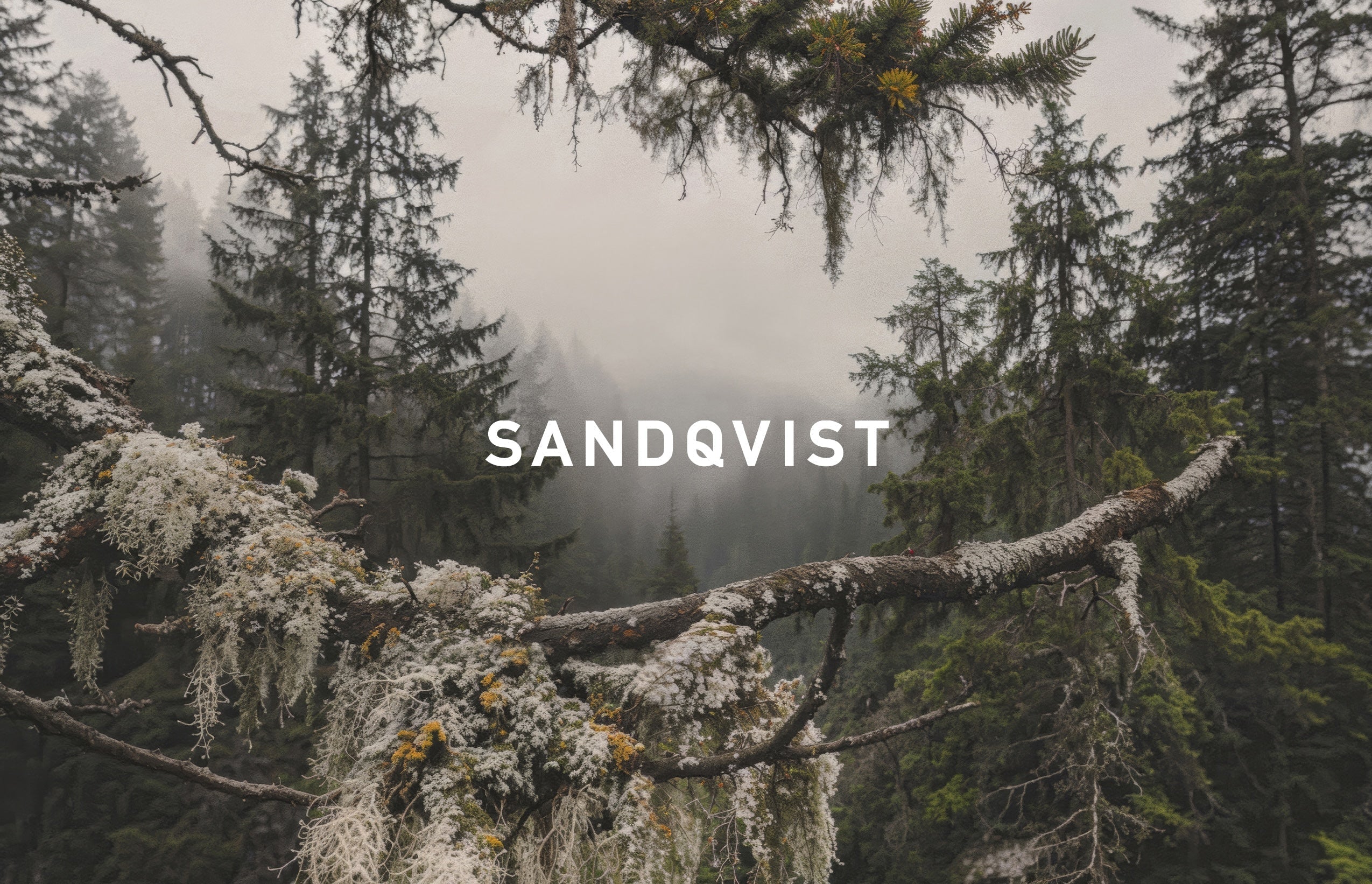 SANDQVIST POP-UP開催