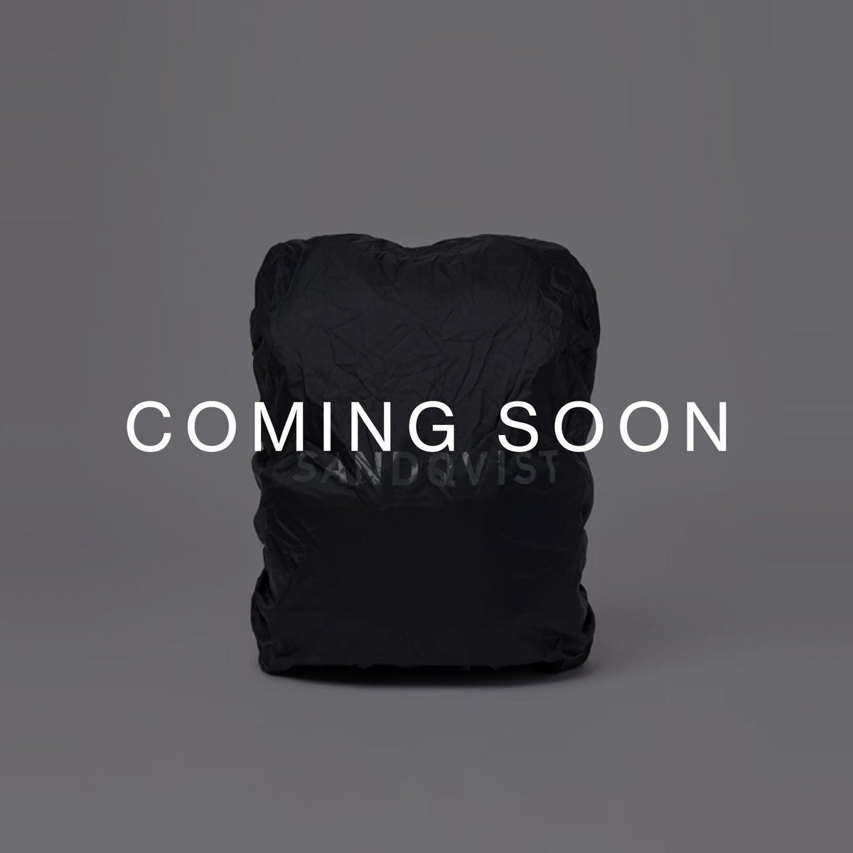 ITEMS BACKPACK RAIN COVER